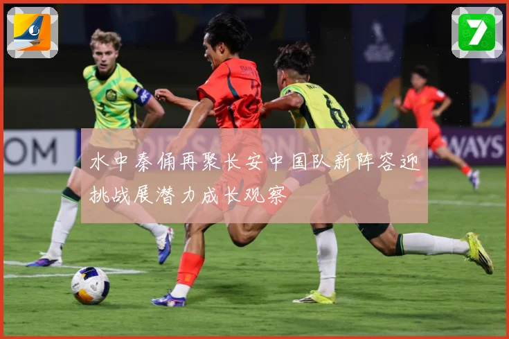 水中秦俑再聚长安中国队新阵容迎挑战展潜力成长观察